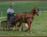 1POSIEUX 0483
